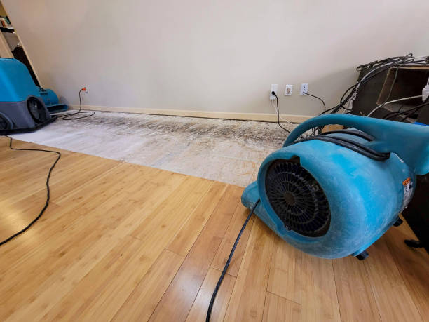 Professional Basement Flood Cleanup technician working in Minco, OK